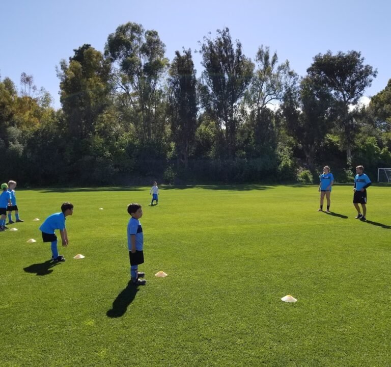 Soccer Field image 2