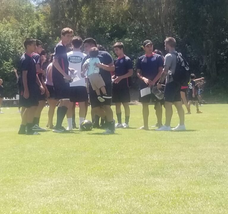 Soccer Field image 3