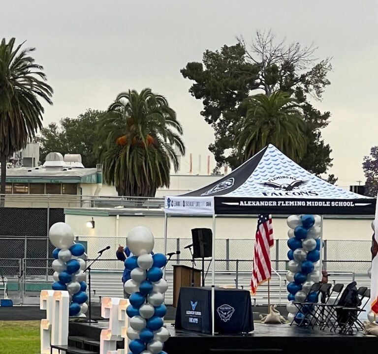 Soccer Field image 2