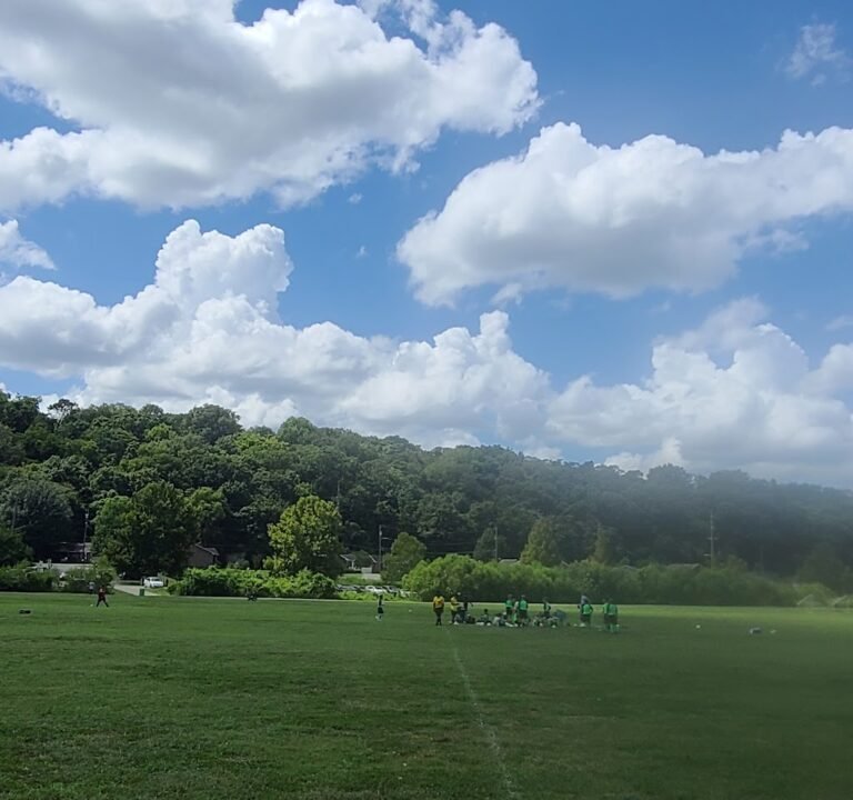Soccer Field image 2