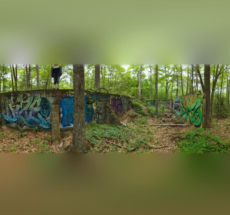 Soccer Field image 3