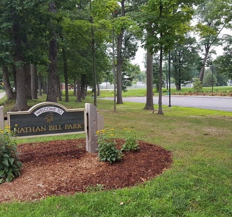 Soccer Field image 2