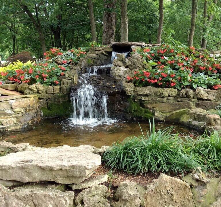 Soccer Field image 2