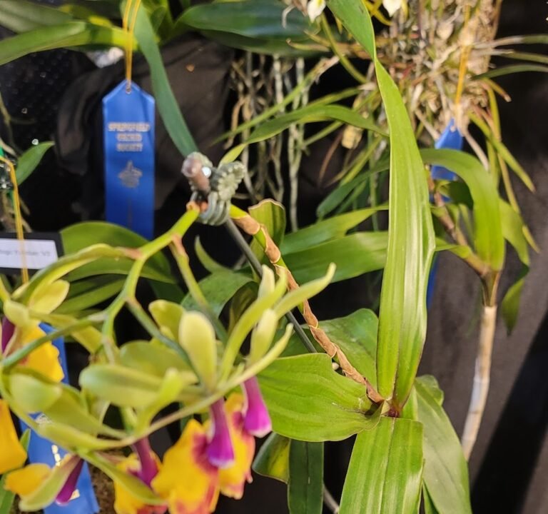 Soccer Field image 3