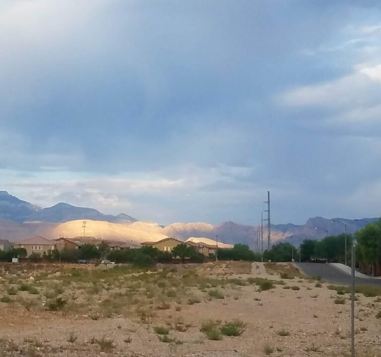 Soccer Field image 2