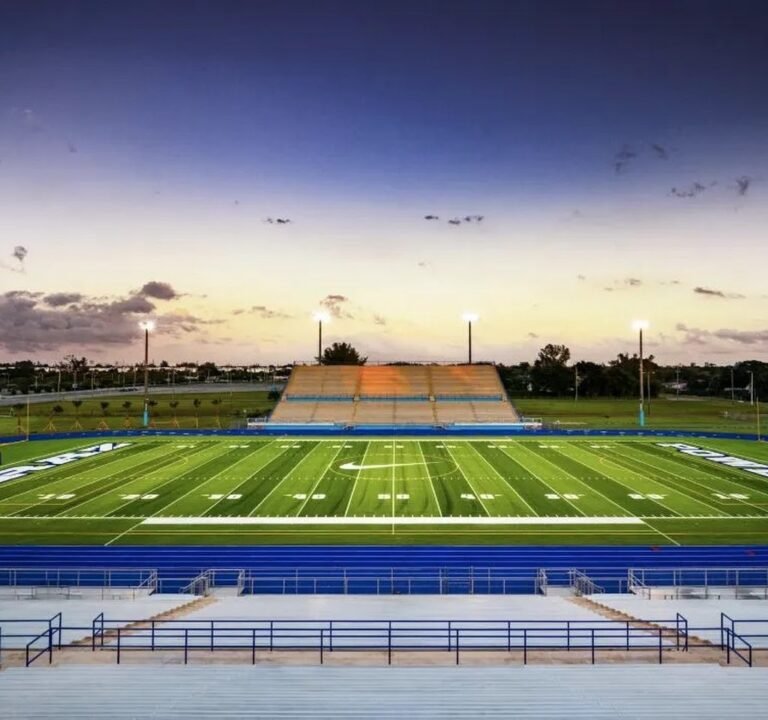 Soccer Field image 2