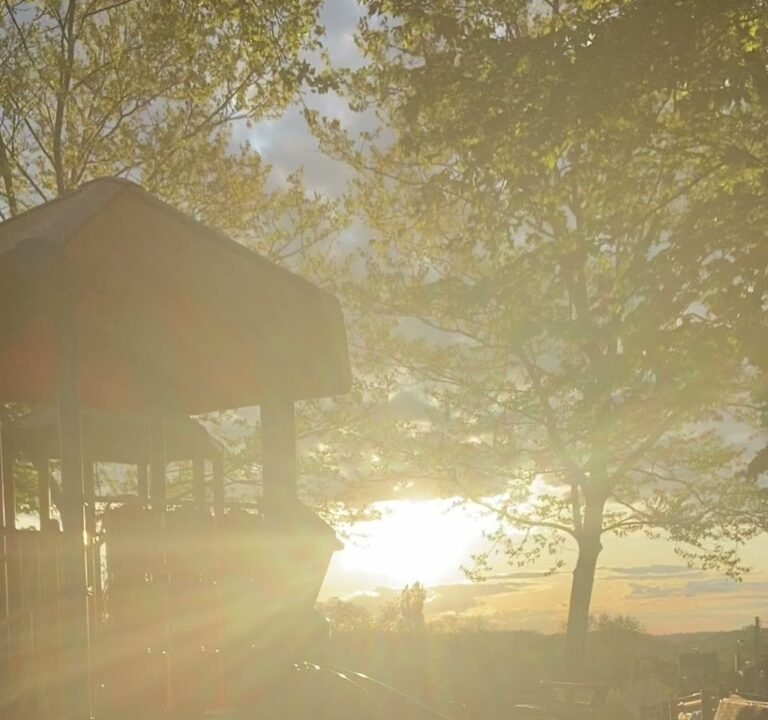 Soccer Field image 3