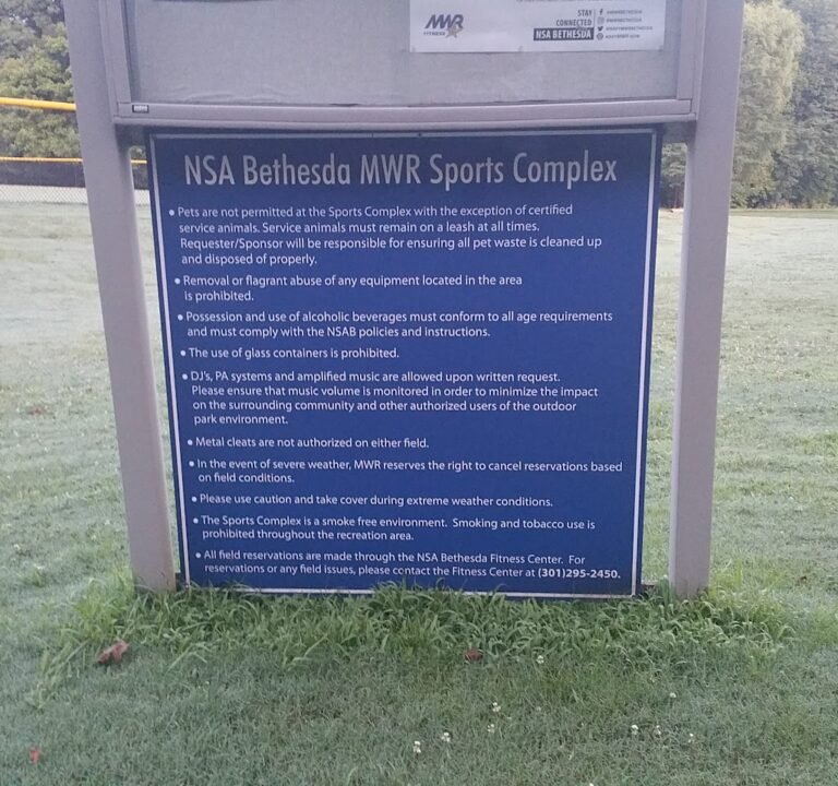 Soccer Field image 2