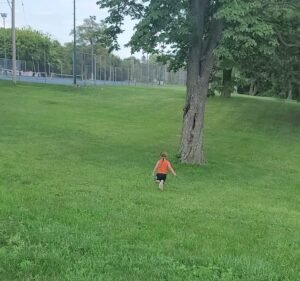 Soccer Field image 3