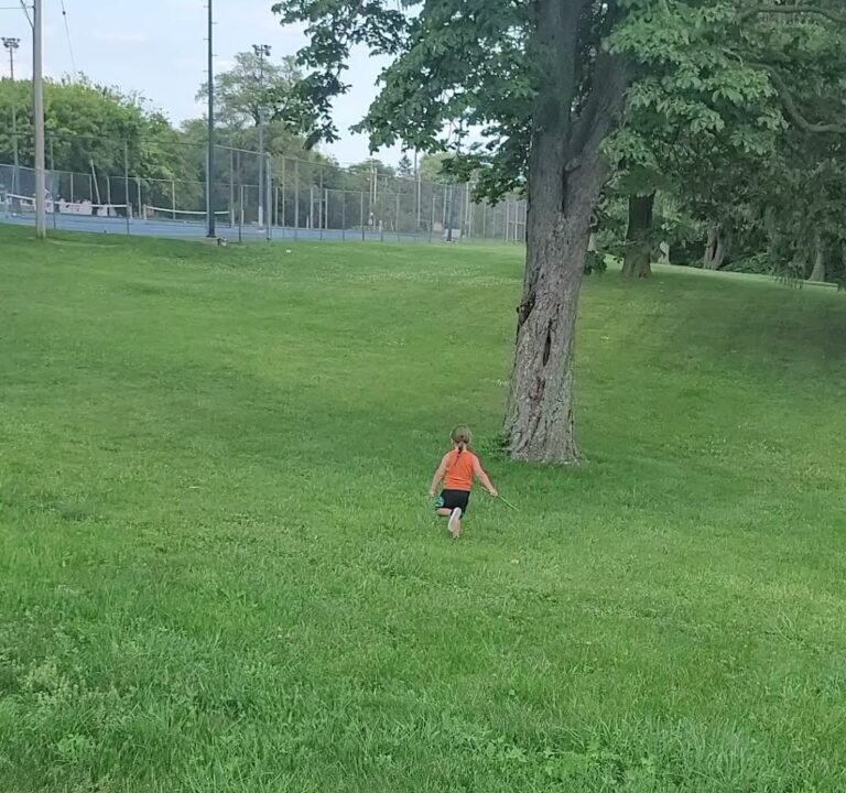 Soccer Field image 3