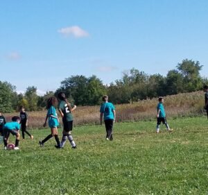 Soccer Field image 2