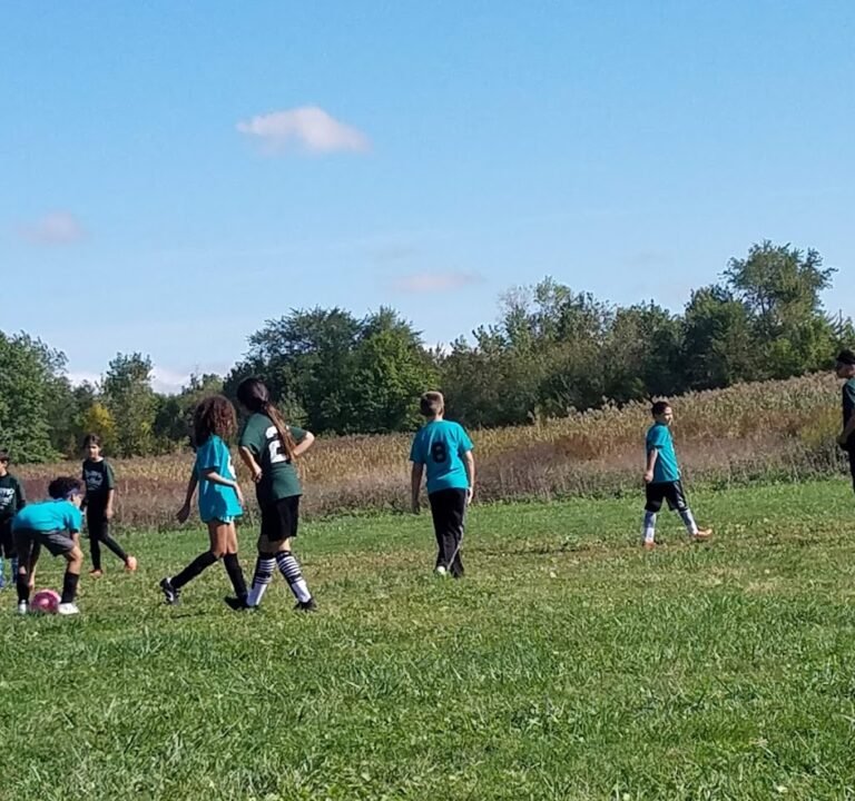 Soccer Field image 2