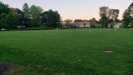 Soccer Field image 1