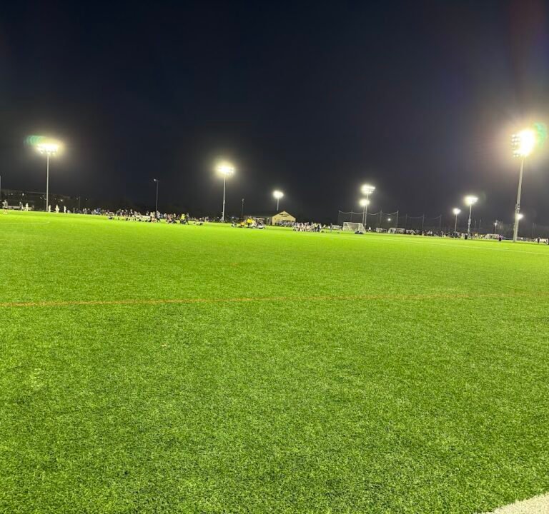 Soccer Field image 2