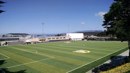 Soccer Field image 1