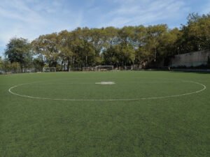 Soccer Field image 1