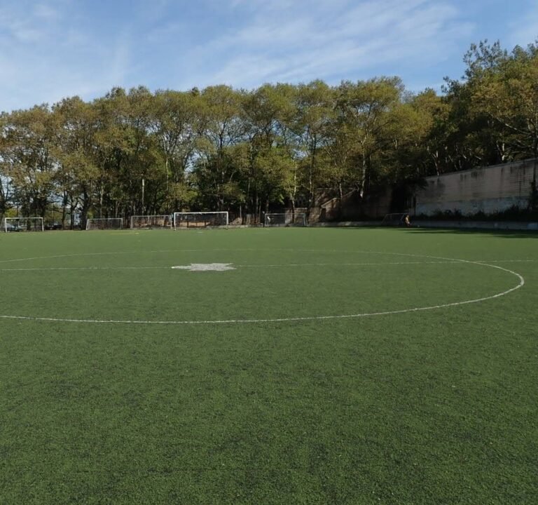 Soccer Field image 2
