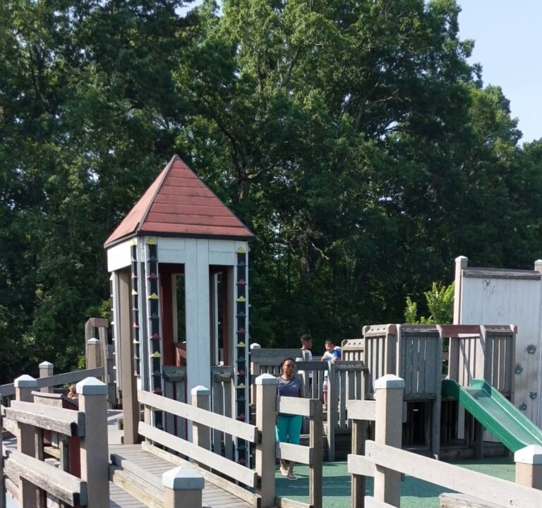 Soccer Field image 4