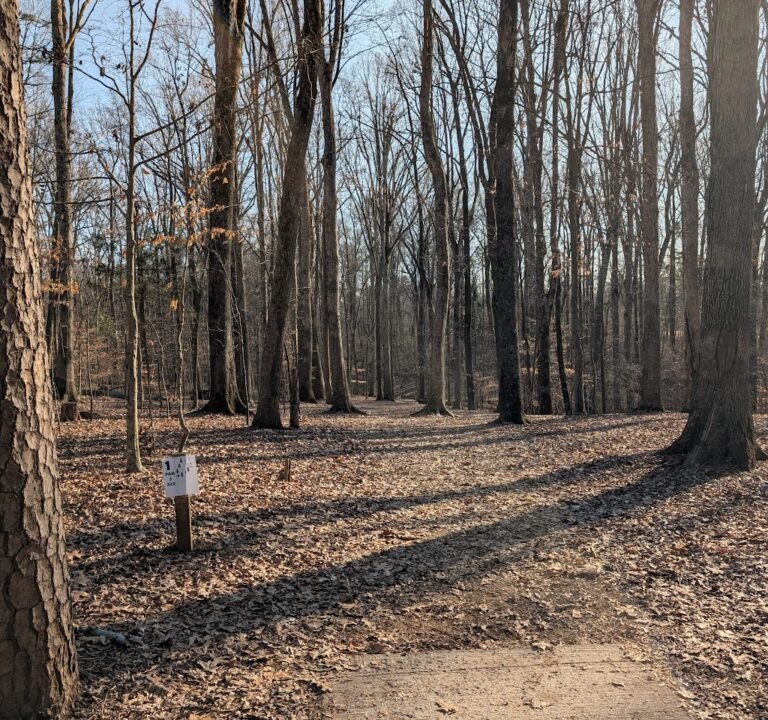 Soccer Field image 3