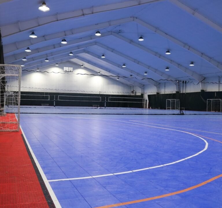 Soccer Field image 2