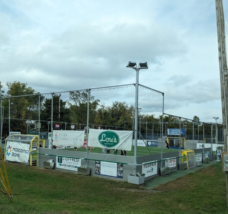 Soccer Field image 2