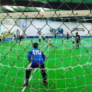 Soccer Field image 1