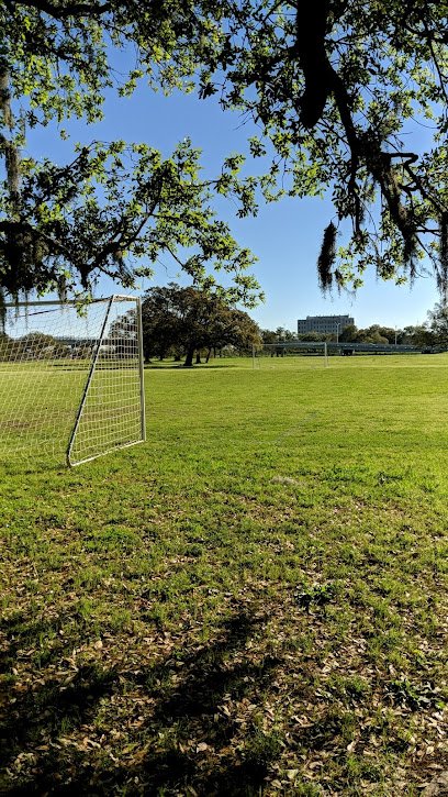 Soccer Field image 1