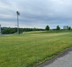 Soccer Field image 2