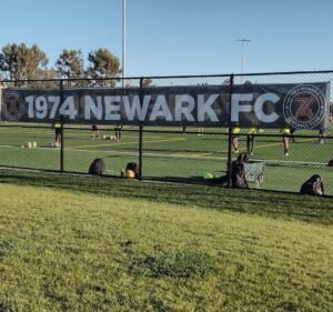Soccer Field image 2