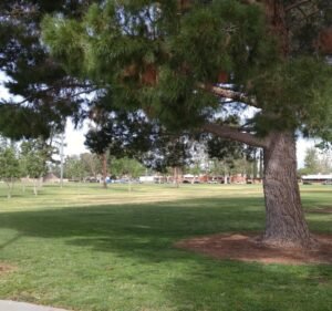 Soccer Field image 2