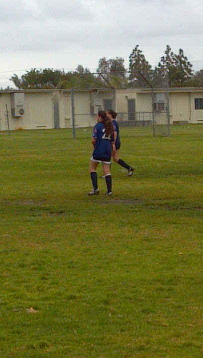 Soccer Field image 1