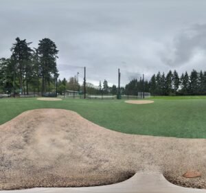 Soccer Field image 3