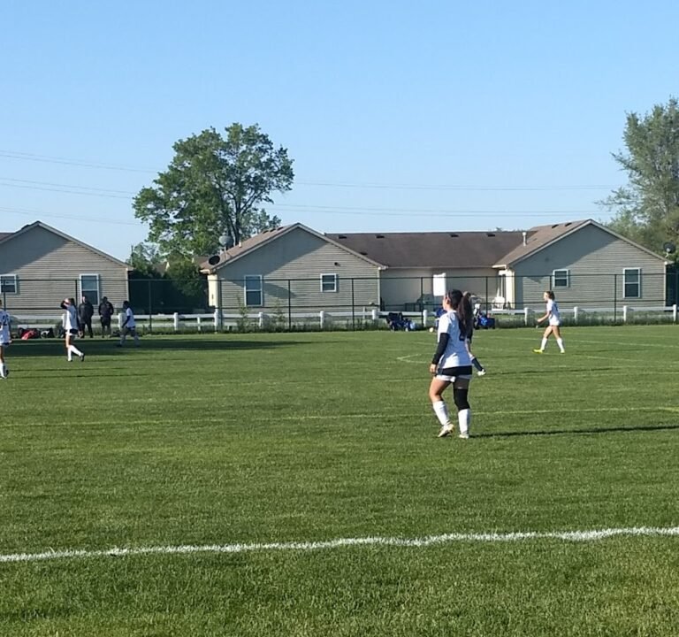 Soccer Field image 2