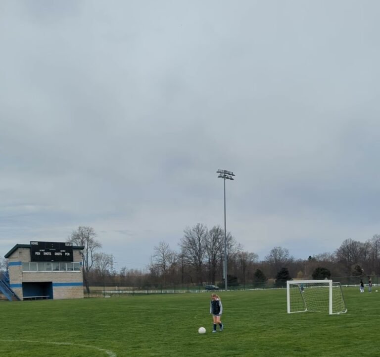 Soccer Field image 3