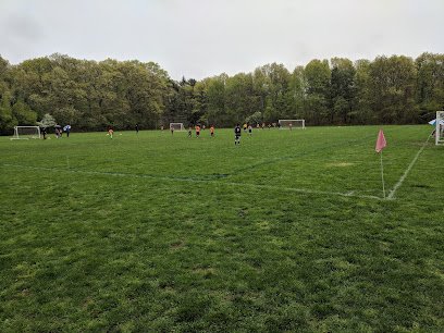 Soccer Field image 1