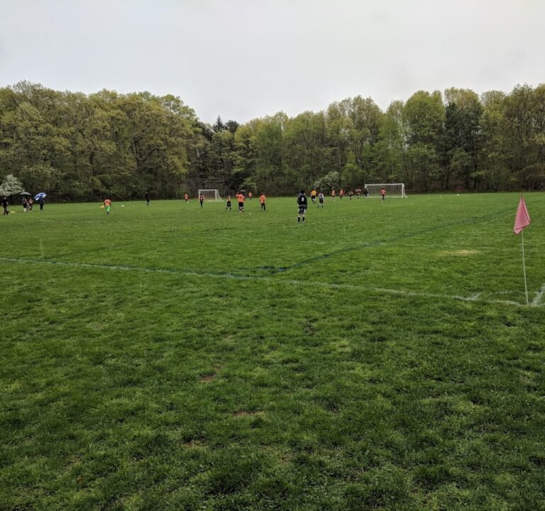 Soccer Field image 2
