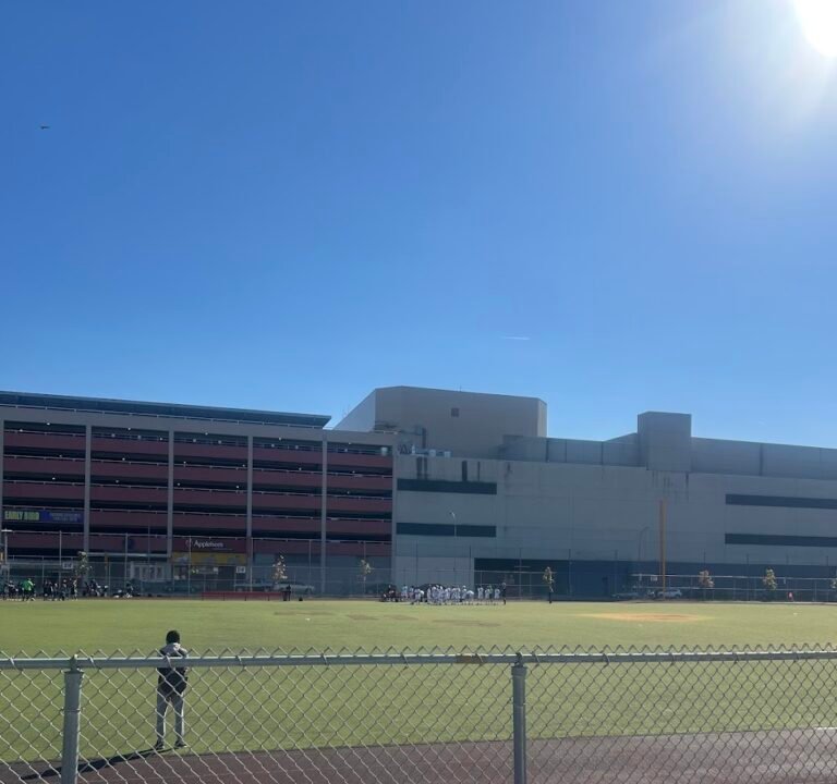 Soccer Field image 2