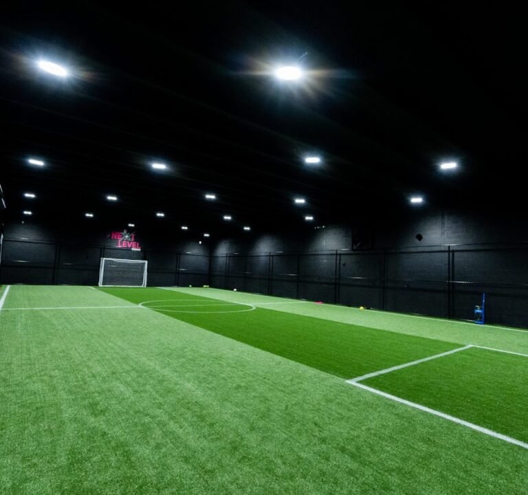 Soccer Field image 2