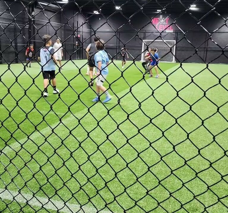 Soccer Field image 4