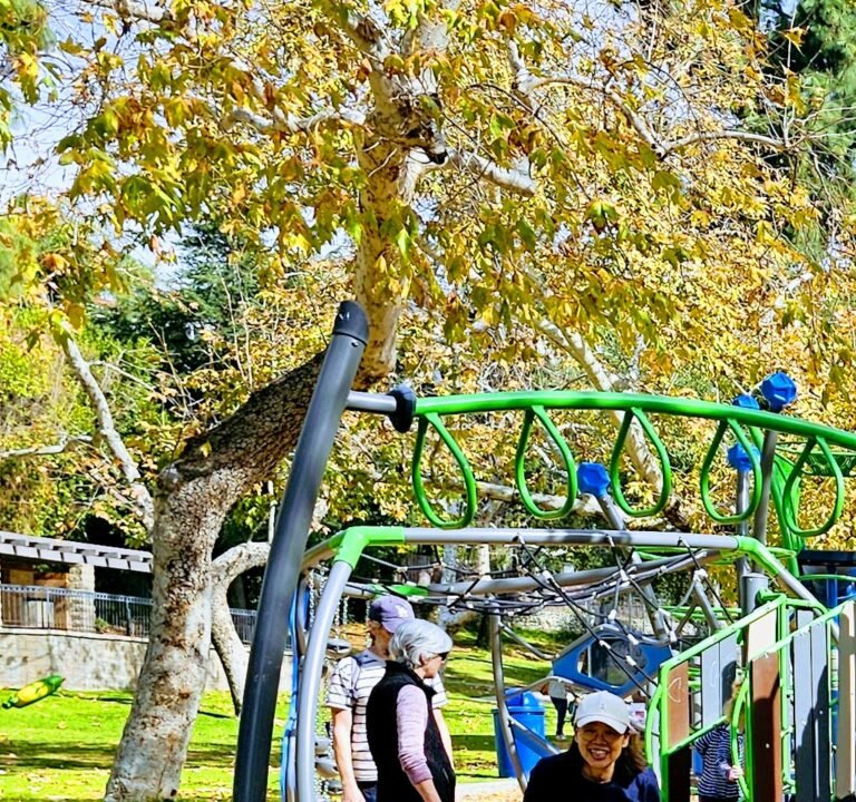 Soccer Field image 3