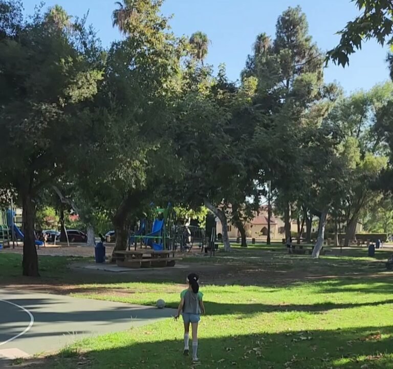 Soccer Field image 4