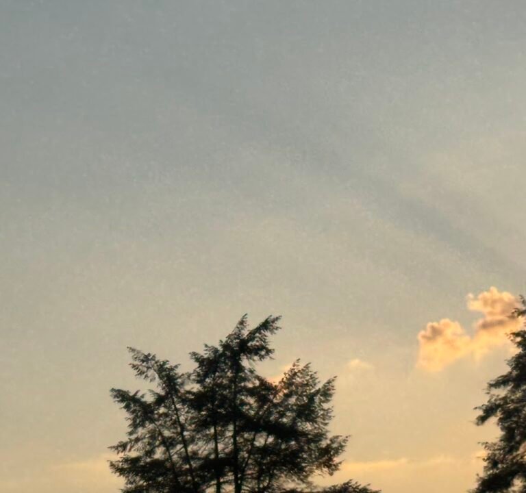 Soccer Field image 3