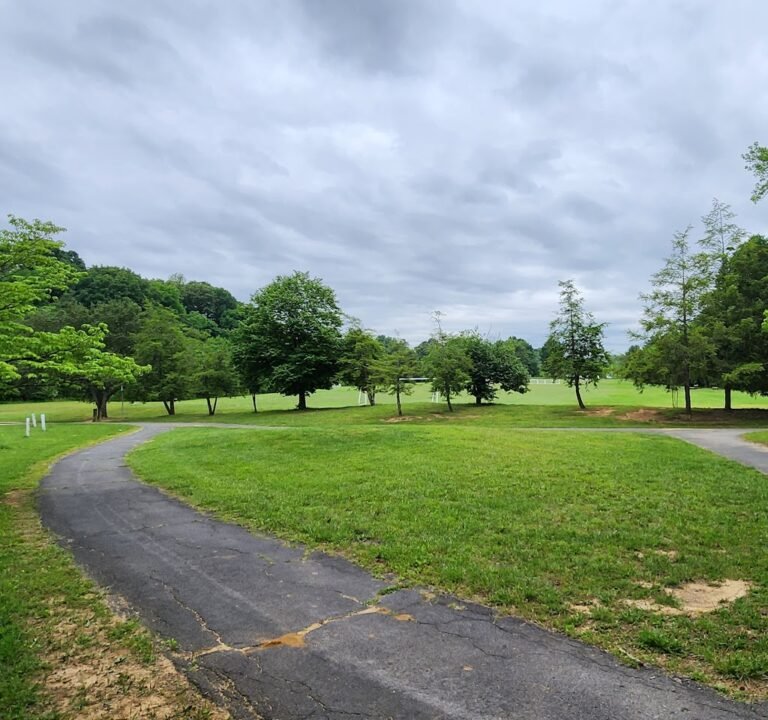 Soccer Field image 2