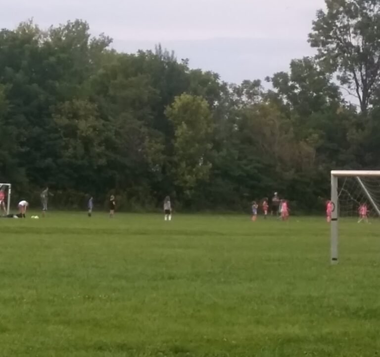 Soccer Field image 3