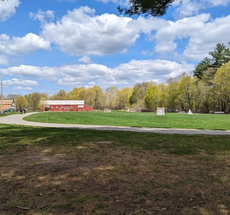 Soccer Field image 2