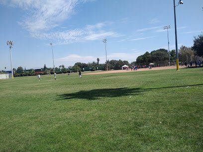 Soccer Field image 1