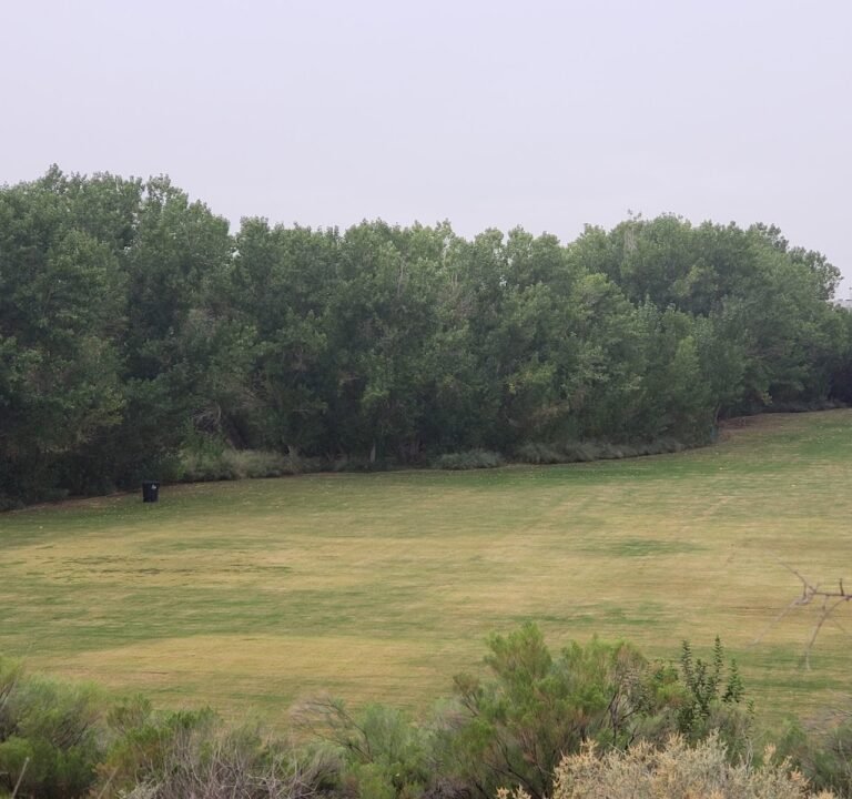 Soccer Field image 2