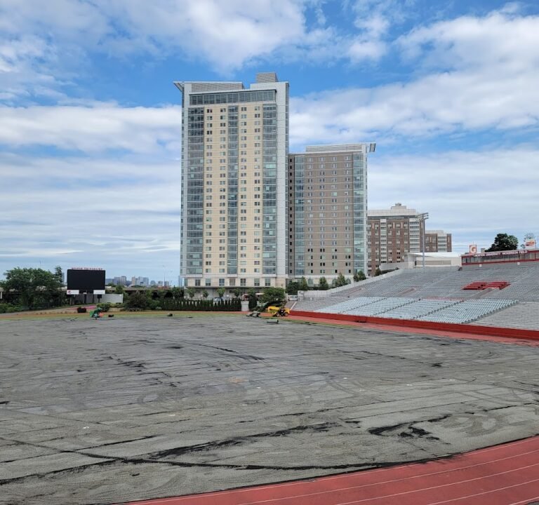 Soccer Field image 2