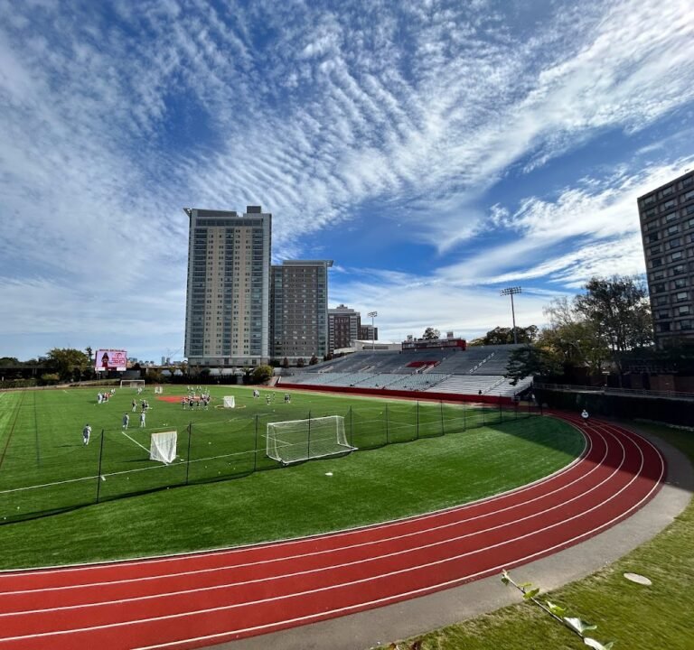 Soccer Field image 3