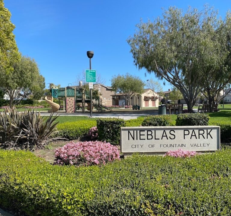 Soccer Field image 2